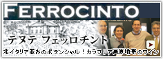テヌーテ・フェッロチント